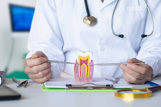 Best Broken or Cracked Tooth Emergency Dentist in Lapel, IN